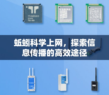 蚯蚓科学上网，探索信息传播的高效途径