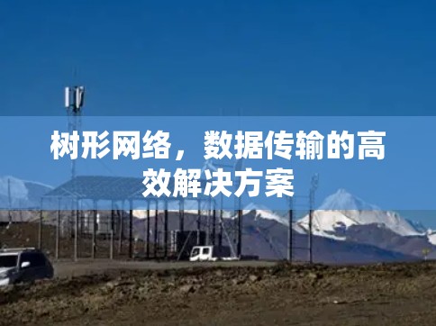 树形网络，数据传输的高效解决方案