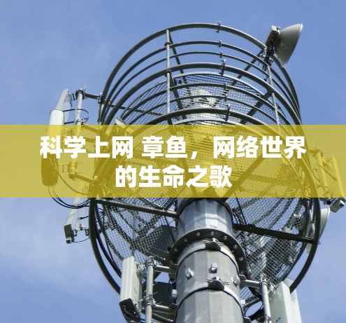 科学上网 章鱼，网络世界的生命之歌
