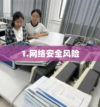 1.网络安全风险