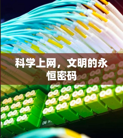 科学上网，文明的永恒密码