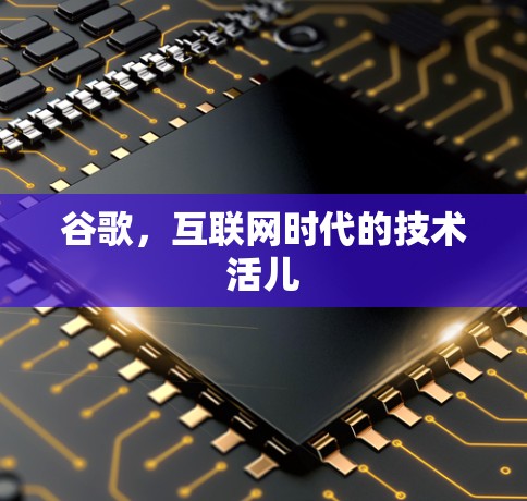 谷歌,互联网时代的技术活儿 谷歌,互联网时代的技术活儿