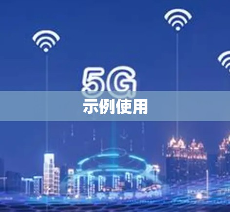 示例使用