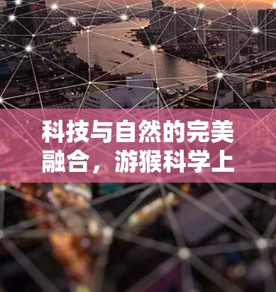 科技与自然的完美融合,游猴科学上网 科技与自然的完美融合,游猴科学上网