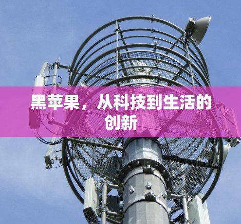 黑苹果,从科技到生活的创新 黑苹果,从科技到生活的创新