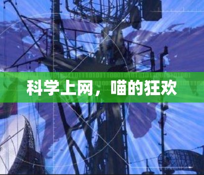 科学上网，喵的狂欢