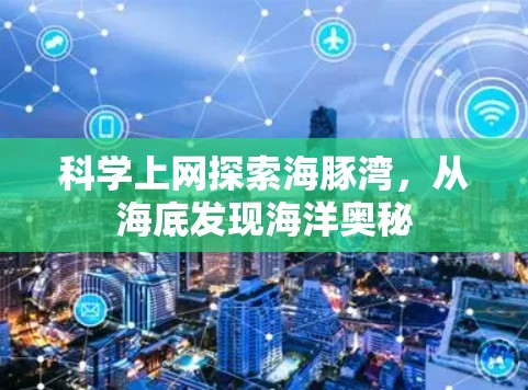 科学上网探索海豚湾,从海底发现海洋奥秘 科学上网探索海豚湾,从海底发现海洋奥秘