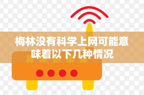 梅林没有科学上网可能意味着以下几种情况