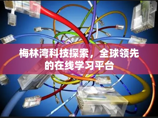 梅林湾科技探索，全球领先的在线学习平台