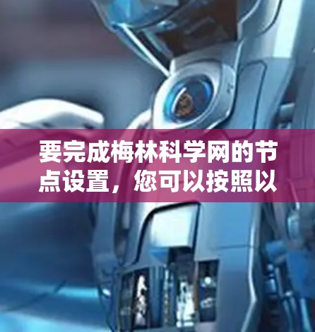 要完成梅林科学网的节点设置，您可以按照以下步骤进行