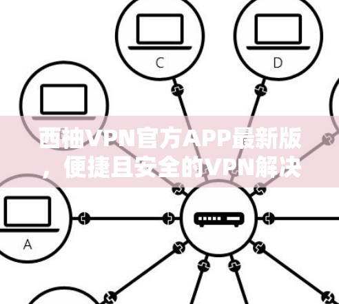 西柚VPN官方APP最新版，便捷且安全的VPN解决方案