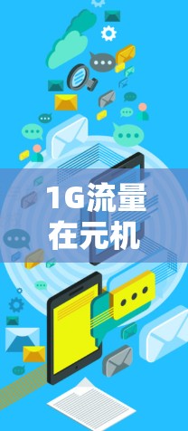 1G流量在元机场的使用与挑战