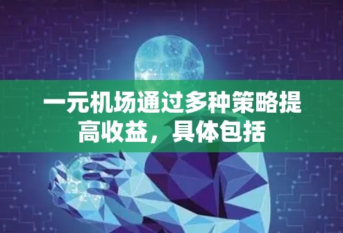 一元机场通过多种策略提高收益，具体包括