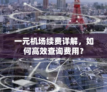 一元机场续费详解，如何高效查询费用？