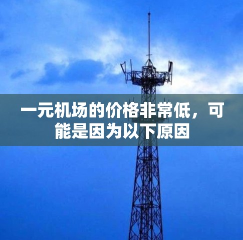 一元机场的价格非常低，可能是因为以下原因