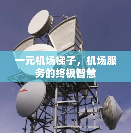 一元机场梯子，机场服务的终极智慧