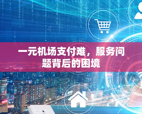 一元机场支付难，服务问题背后的困境