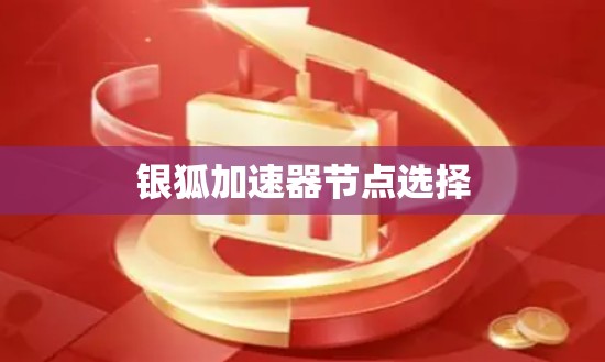 银狐加速器节点选择