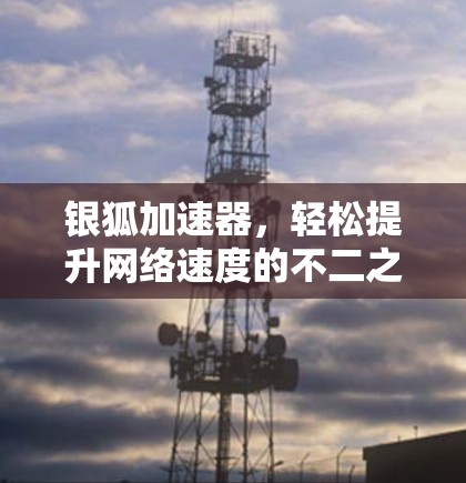 银狐加速器，轻松提升网络速度的不二之选