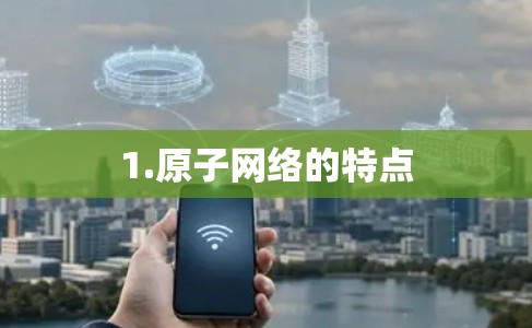 1.原子网络的特点