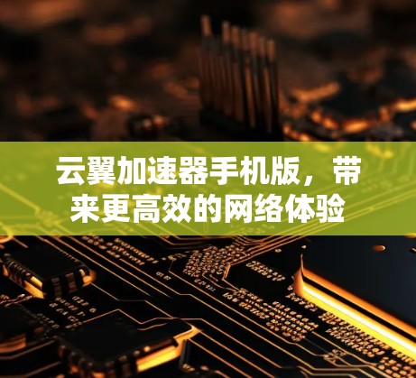云翼加速器手机版，带来更高效的网络体验