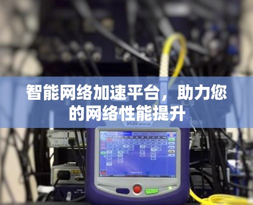 智能网络加速平台，助力您的网络性能提升