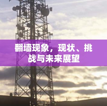 翻墙现象，现状、挑战与未来展望