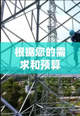 根据您的需求和预算,以下是推荐的VPN工具的详细分析