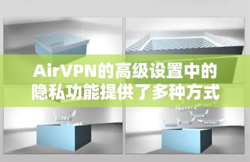 AirVPN的高级设置中的隐私功能提供了多种方式来保护用户隐私，包括设置过滤、收集、防止恶意连接、防止钓鱼以及数据备份等。以下是对高级设置隐私功能的详细解释和应用建议